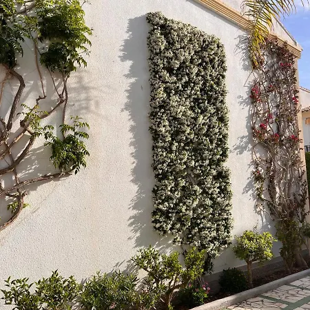 Apartment Casa Del Pescador En Vera